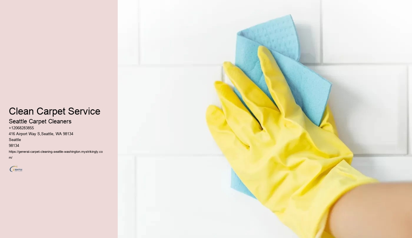 Clean Carpet Service