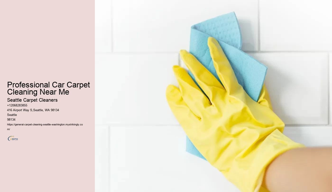 Professional Car Carpet Cleaning Near Me