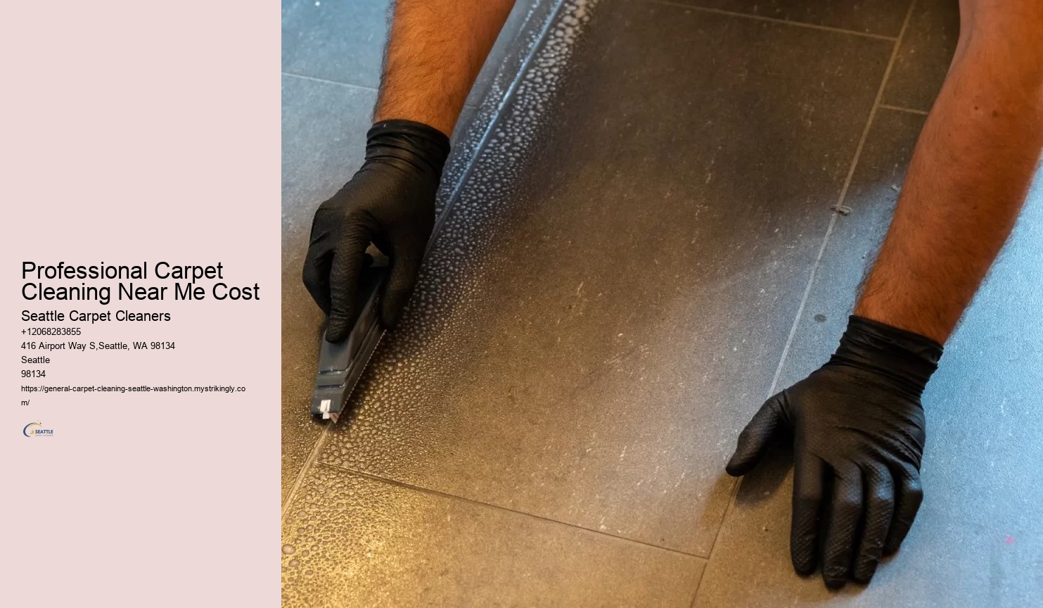 Professional Carpet Cleaning Near Me Cost