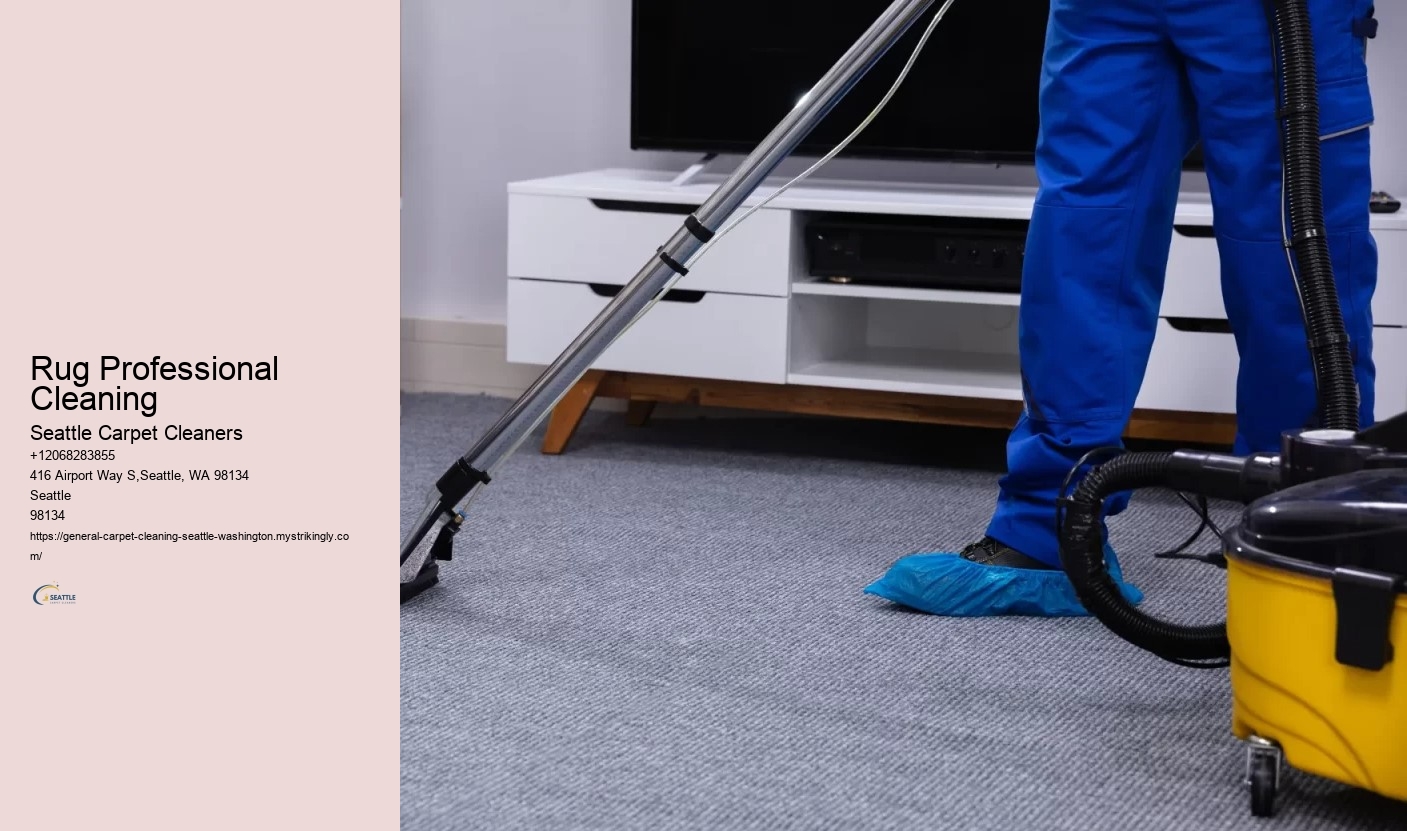 Rug Professional Cleaning
