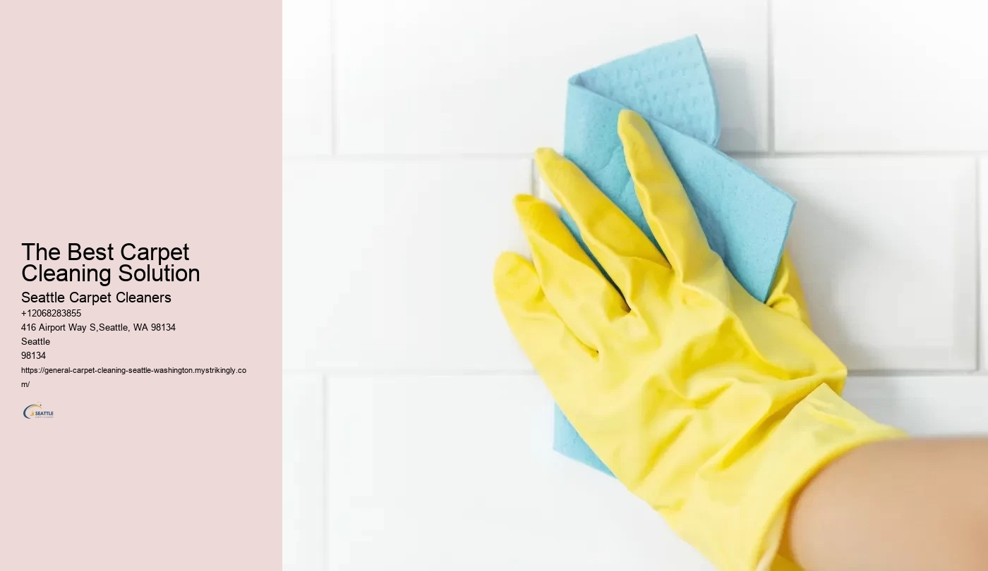 The Best Carpet Cleaning Solution