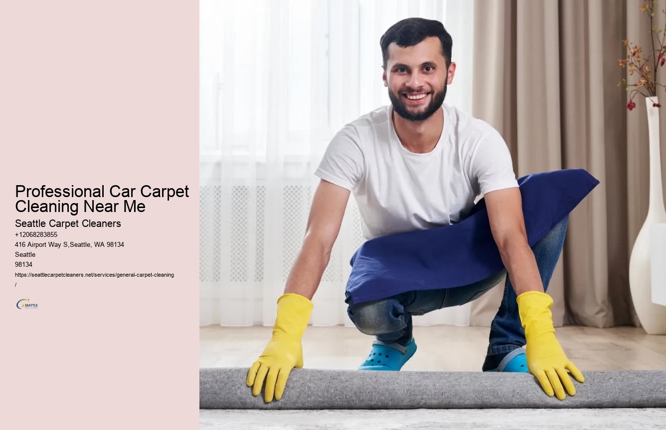 Professional Car Carpet Cleaning Near Me