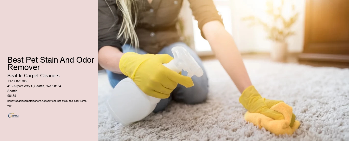 Best Pet Stain And Odor Remover