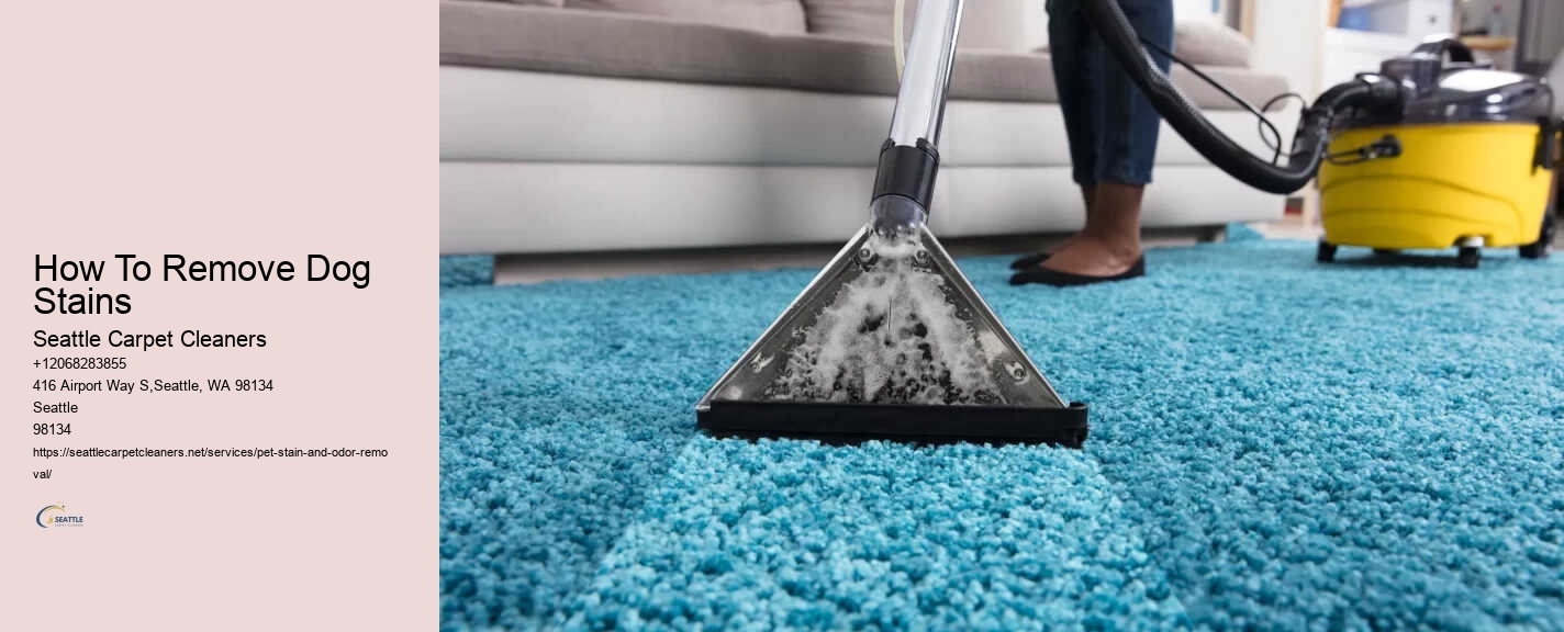 How To Remove Dog Stains
