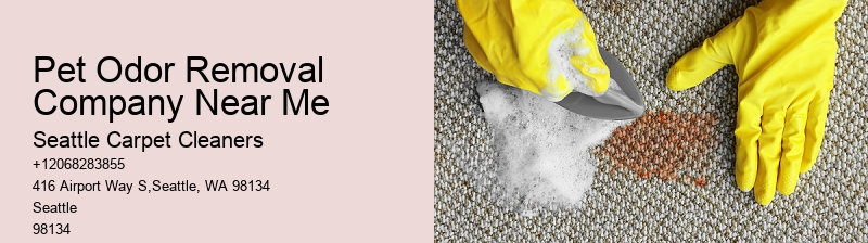 Pet Odor Removal Company Near Me