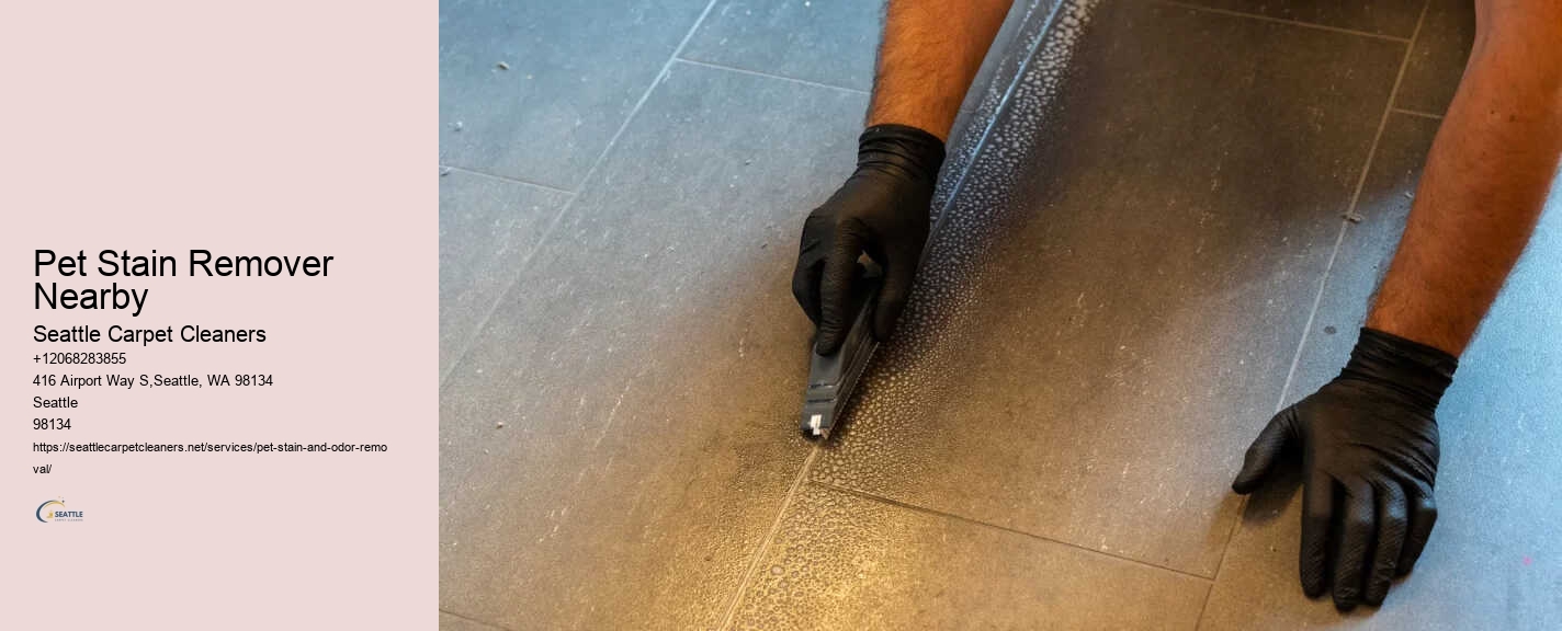 Pet Stain Remover Nearby