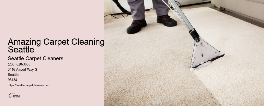 Carpet Cleaning Seattle Prices