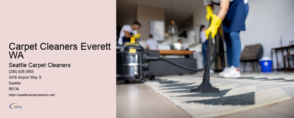 Upholstery Cleaner Seattle