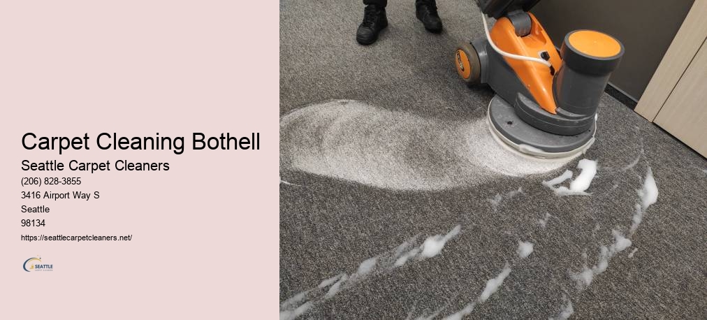 Carpet Cleaning Seattle Washington