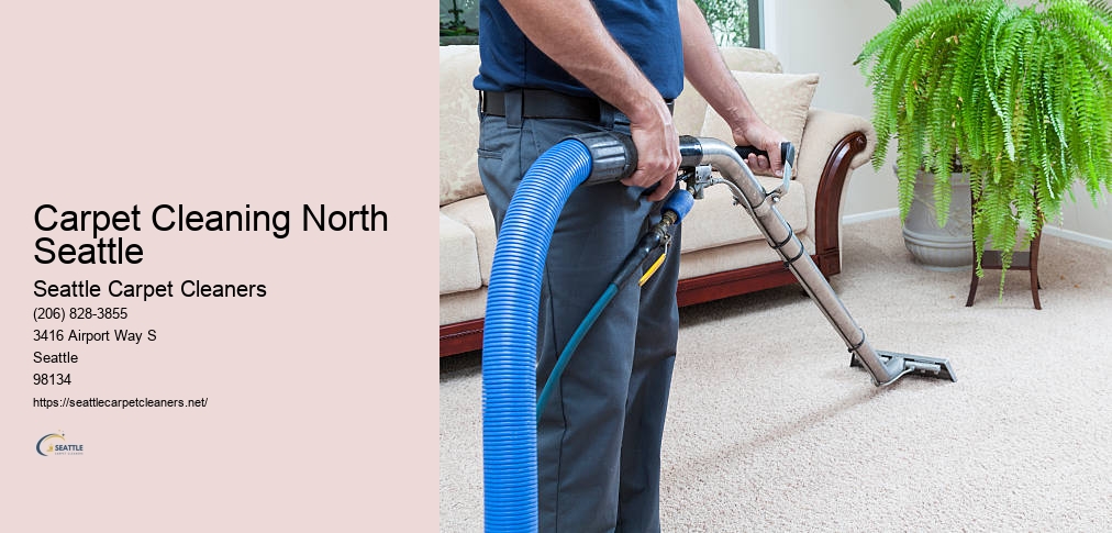 Shoreline Carpet Cleaning