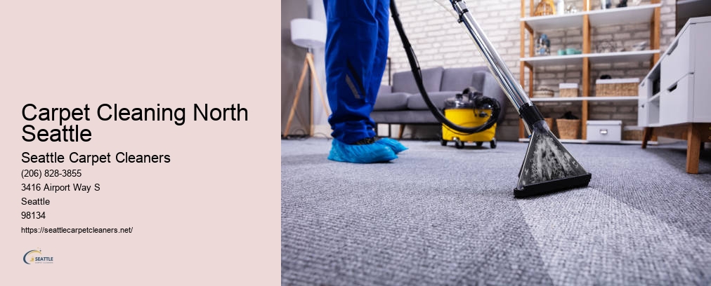 Carpet Cleaning Seattle Washington