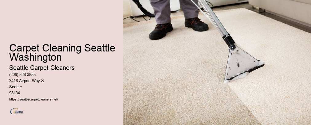 Seattle Professional Carpet Cleaning