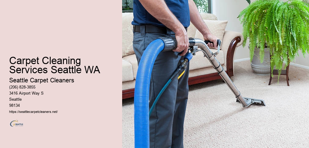 Seattle Odor Removal