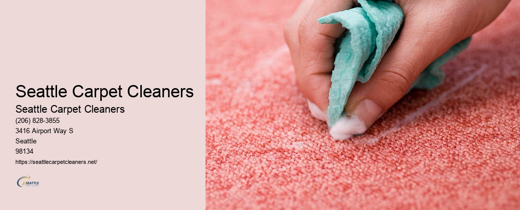 Upholstery Cleaner Seattle