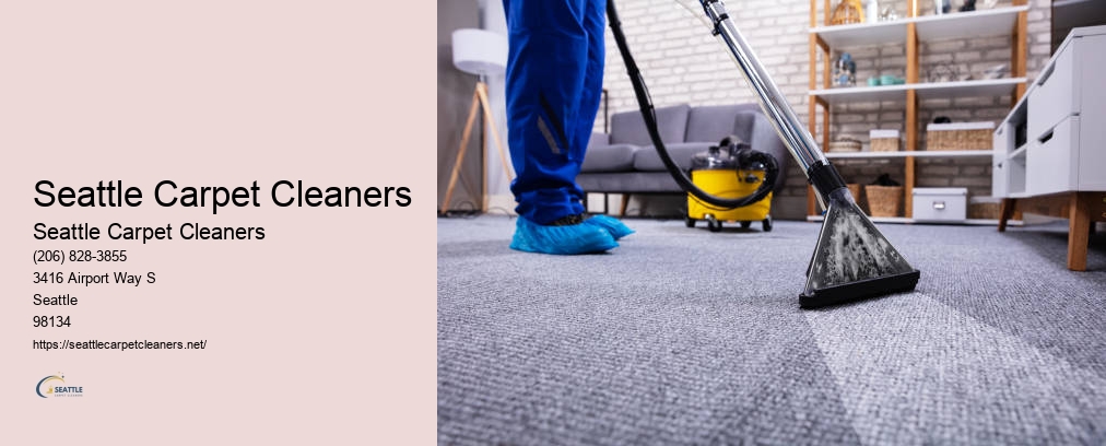 Seattle Professional Carpet Cleaning