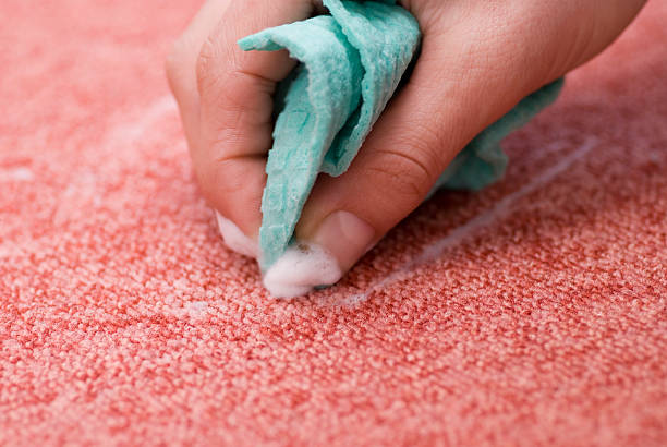 Best Carpet Cleaners In Seattle