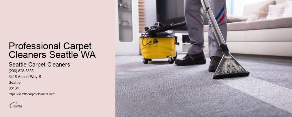 Professional Carpet Cleaners Seattle WA
