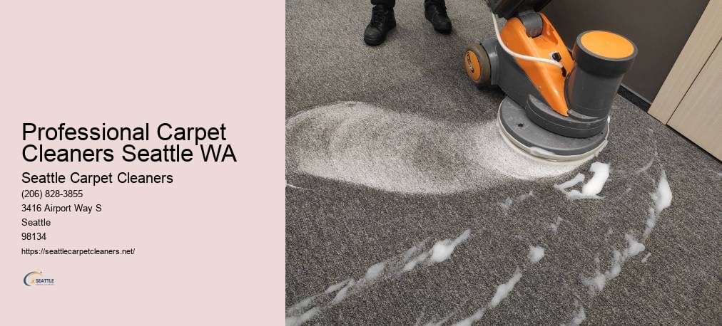 Seattle Carpet Cleaners
