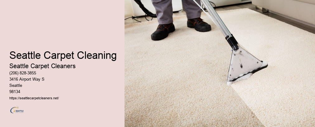 Professional Carpet Cleaners Seattle WA