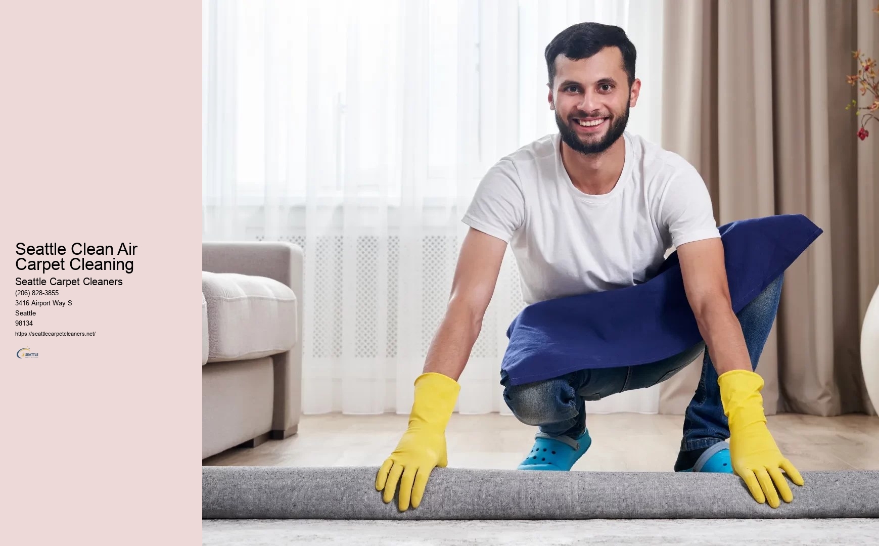 Upholstery Cleaner Seattle