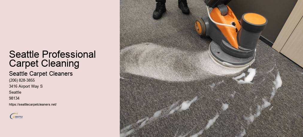 Professional Carpet Cleaners Seattle WA