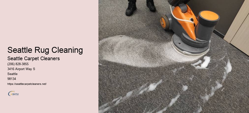 Seattle Odor Removal