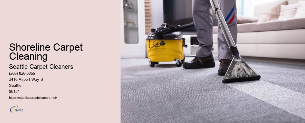 Carpet Cleaning Seattle Washington