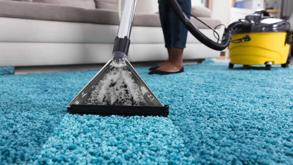 Carpet