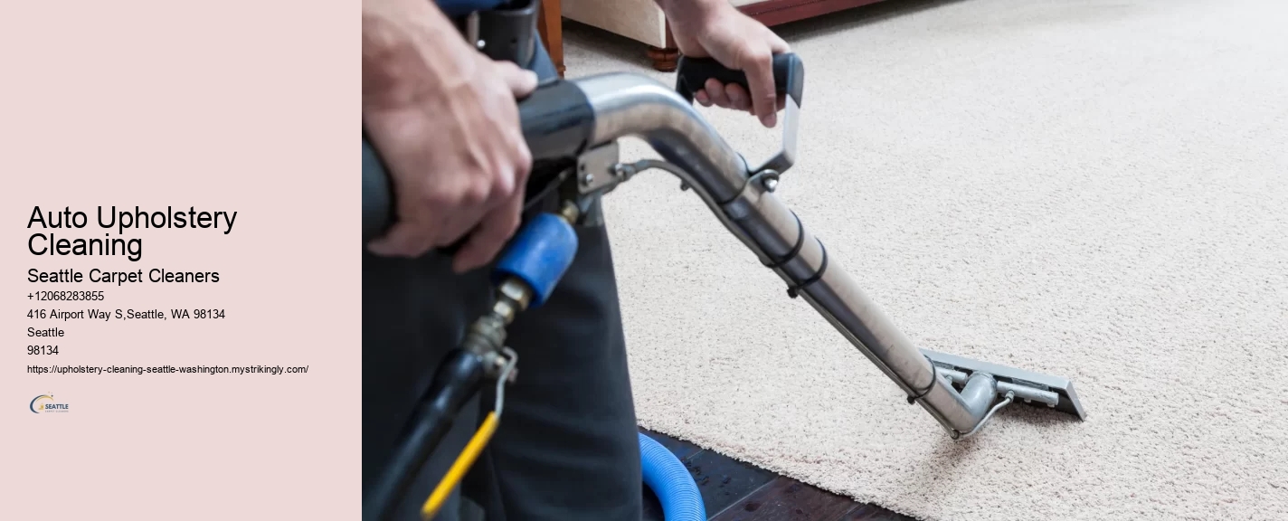 Auto Upholstery Cleaning