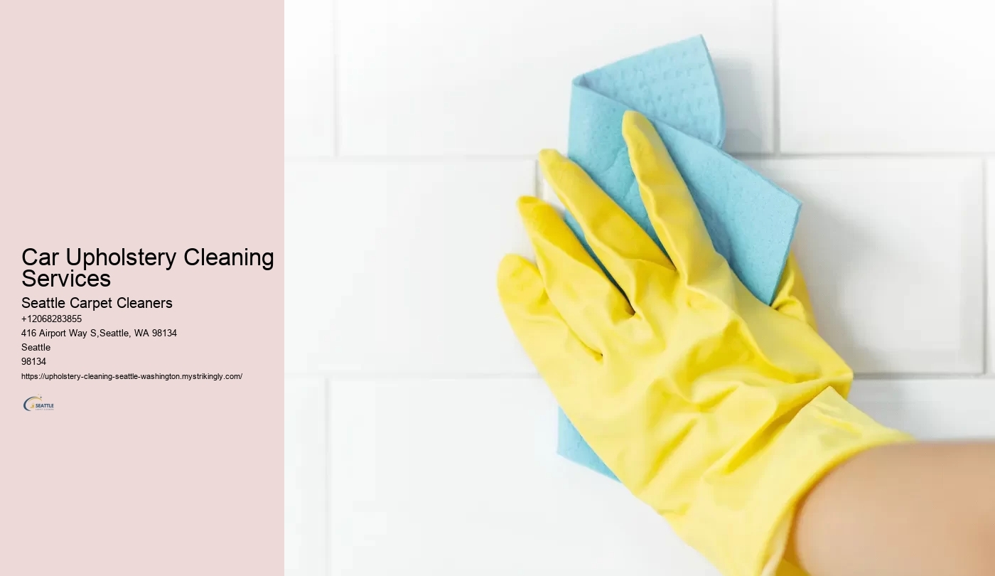 Car Upholstery Cleaning Services
