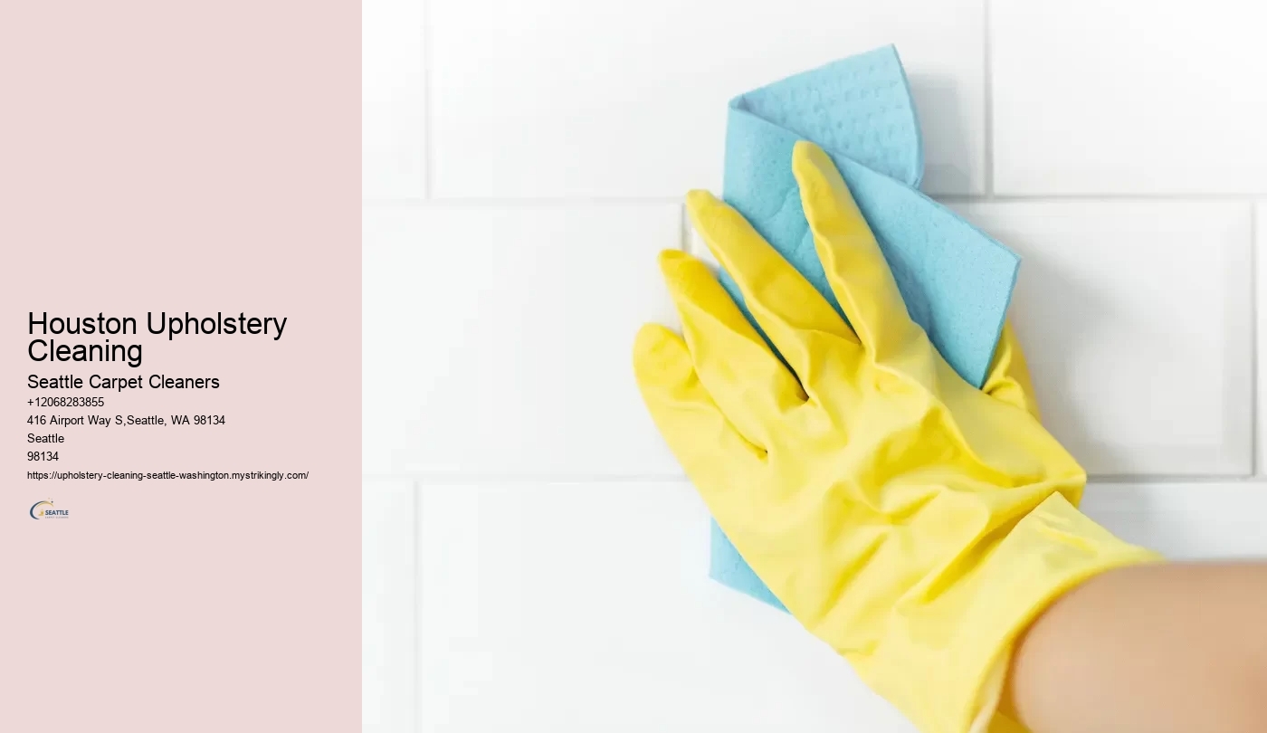 Houston Upholstery Cleaning