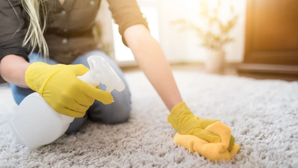 Can I Use A Carpet Cleaner On My Couch