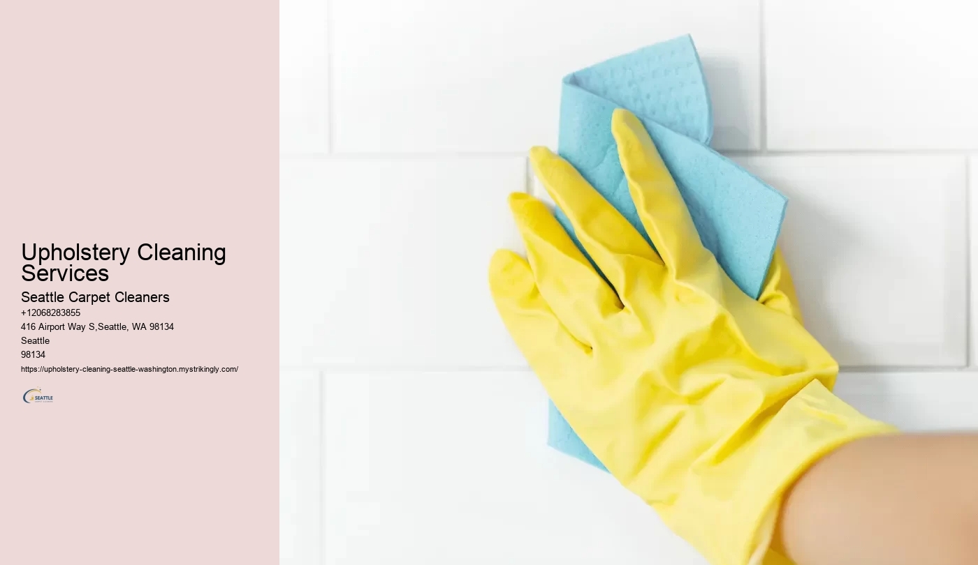 Upholstery Cleaning Services