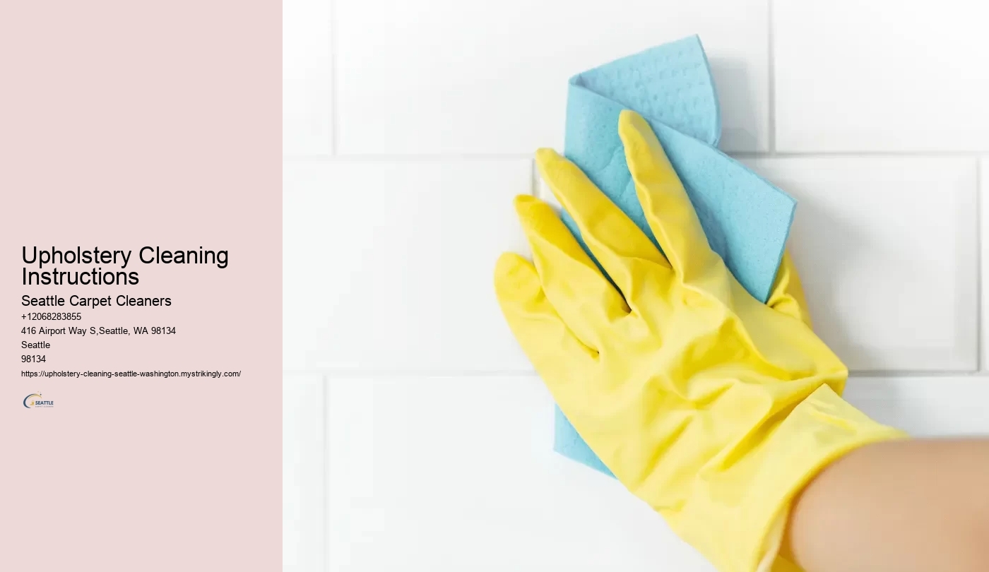 Upholstery Cleaning Instructions