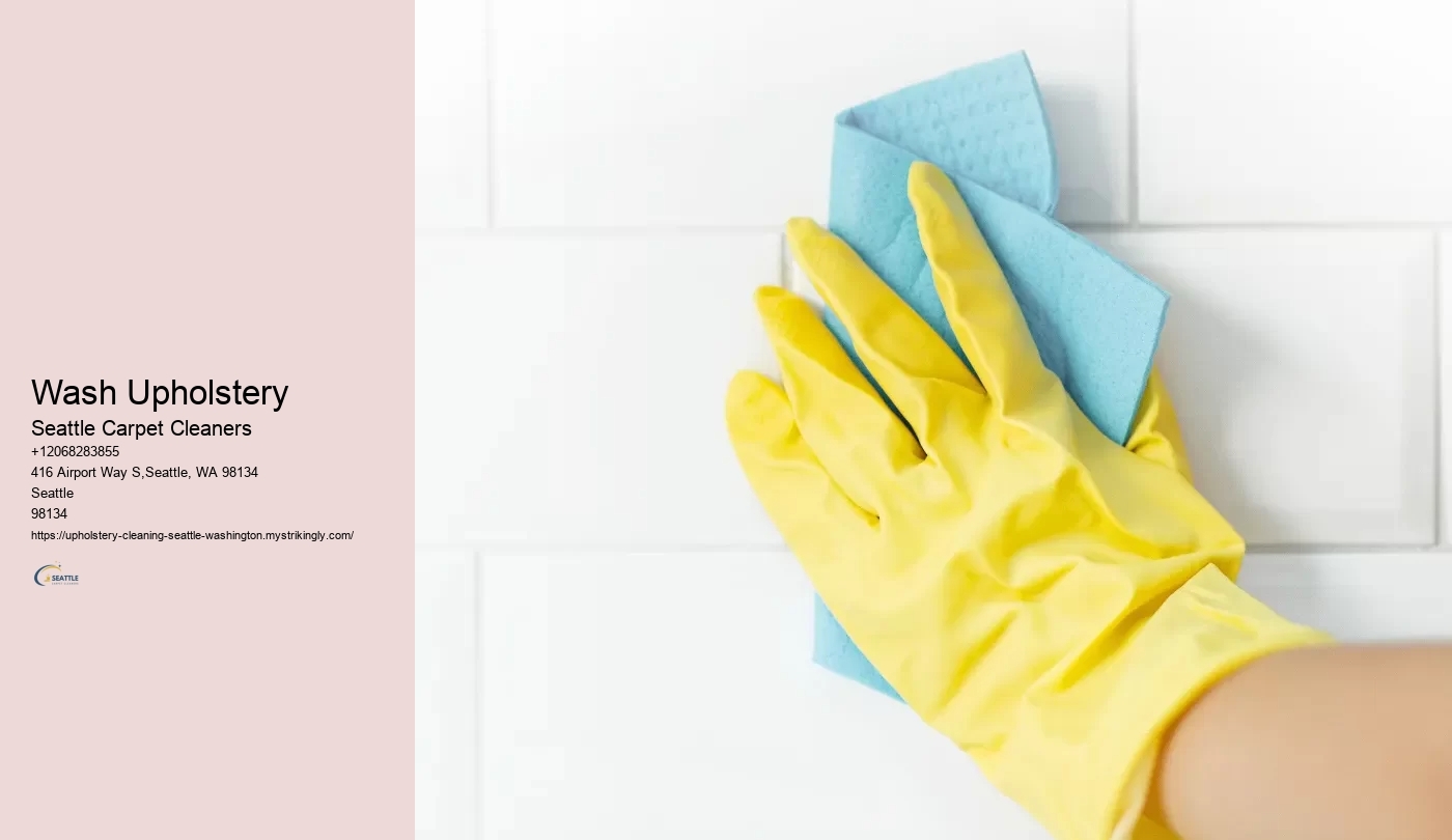 Wash Upholstery